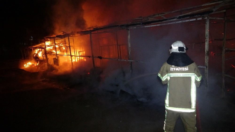 Bursa'dan acı haber: 10 at yanarak telef oldu