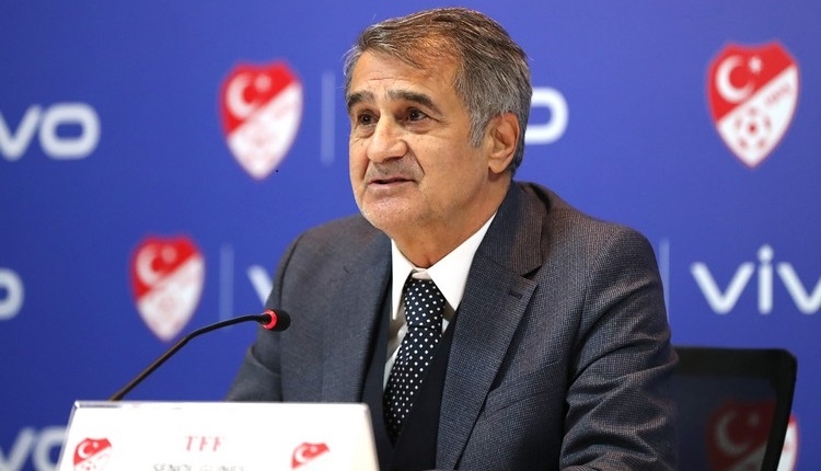 Şenol Güneş Benim hayalim, Dünya Kupası'na katılmak