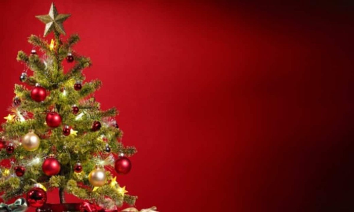 Yılbaşı yasağı ne zaman başlıyor? | Yılbaşı sokağa çıkma yasağı genelgesi