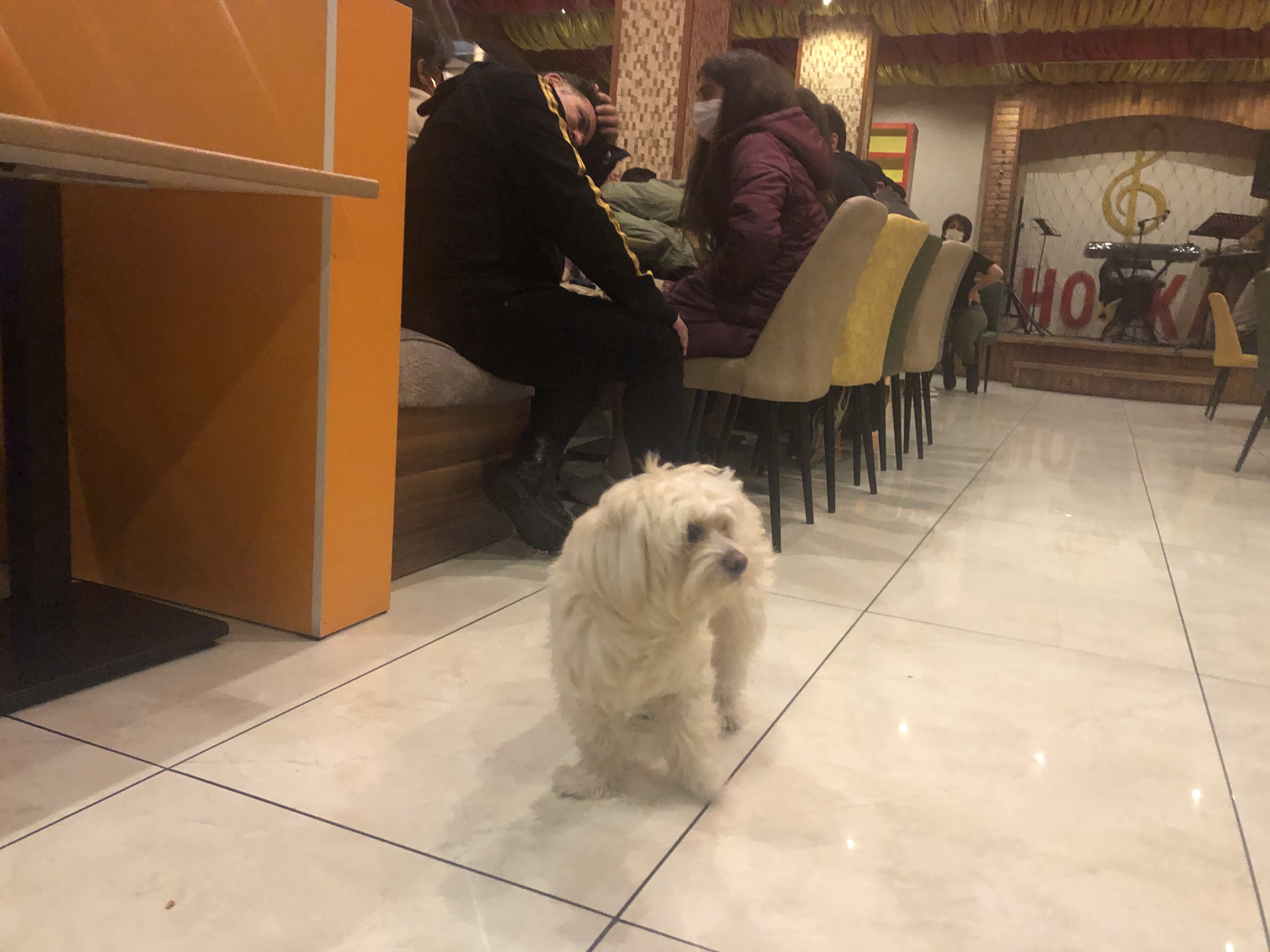 Esenyurt'ta kaçak parti basıldı! Mekan sahibi hepsi paket servis dedi