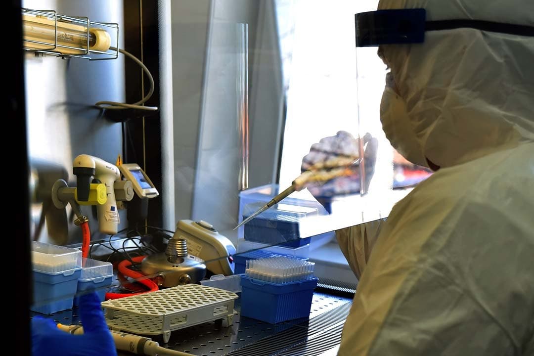 DSÖ'den yürekleri ferahlatan açıklama: Mutant virüs, evrimin bir parçası