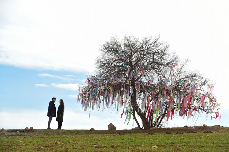 Zümrüdüanka final mi yapacak? Zümrüdüanka bitiyor mu? Final bölümü ne zaman?