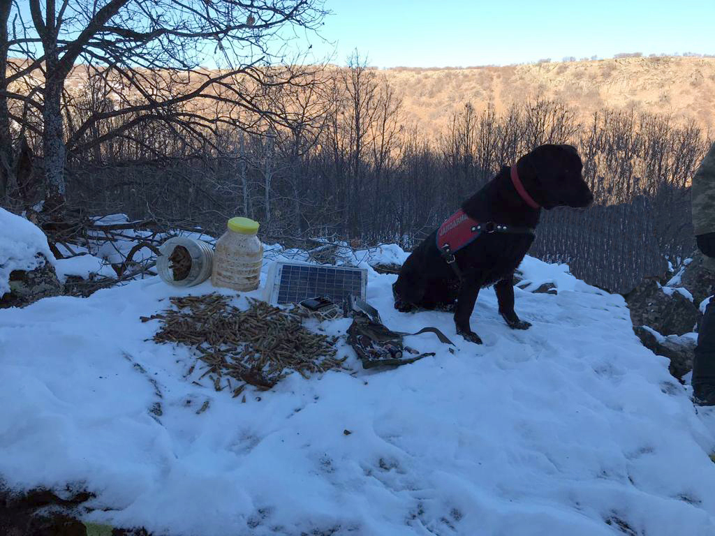 Bingöl'de terör operasyonu! Mühimmat ve malzemeler ele geçirildi!