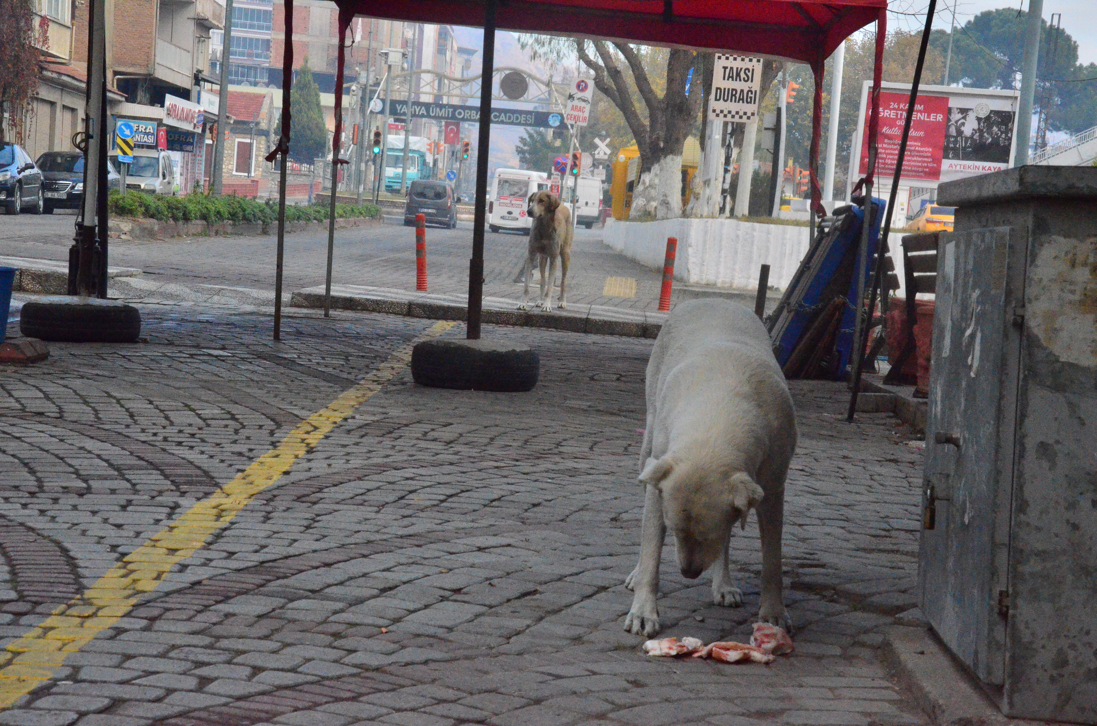 SON DAKİKA! İçişleri Bakanlığından sokağa çıkma yasağı açıklaması