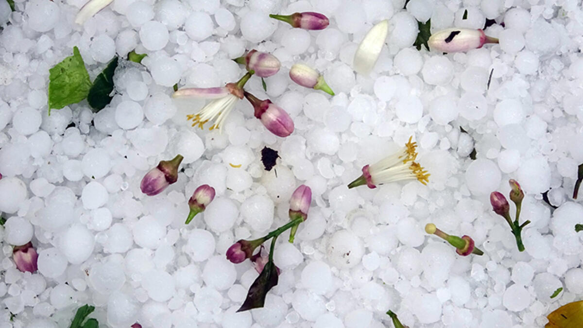 Rüyada Dolu Yağdığını Görmek / Rüyada Dolu Görmek Tabiri