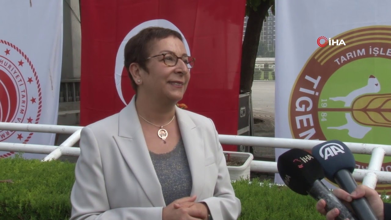 Ayşe Ayşin Işıkgece kimdir? Kaç yaşında? Nereli?