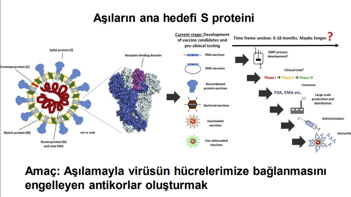 VLP aşı nedir? Ne demek? VLP aşı ne işe yarar? 