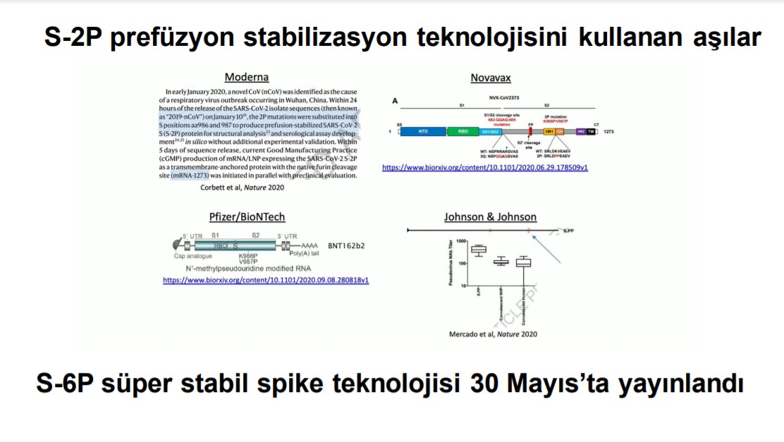 VLP aşı nedir? Ne demek? VLP aşı ne işe yarar? 