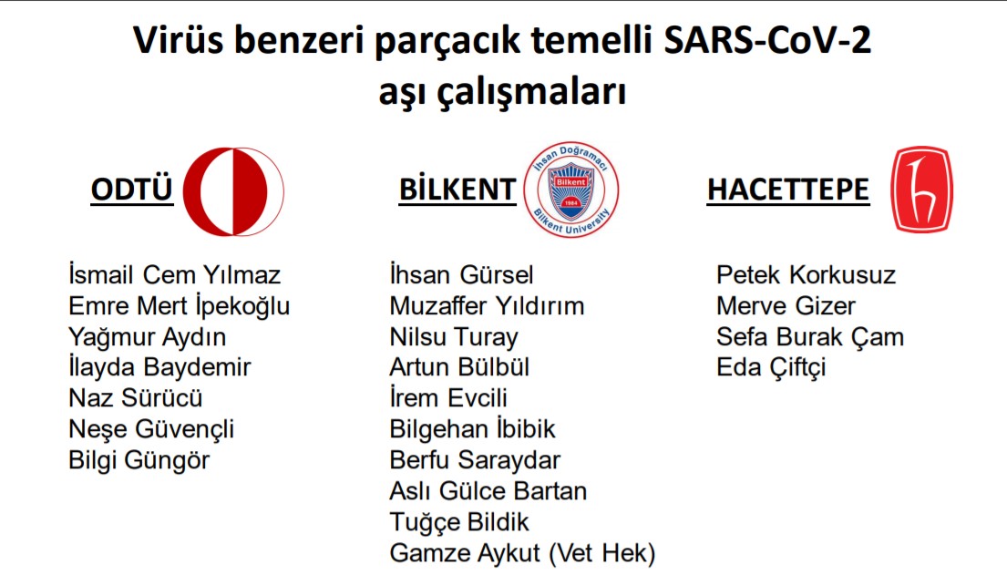 VLP aşı nedir? Ne demek? VLP aşı ne işe yarar? 