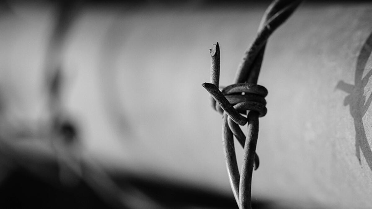 Rüyada Dikenli Tel Görmek / Rüyada Diken Görmek Tabiri