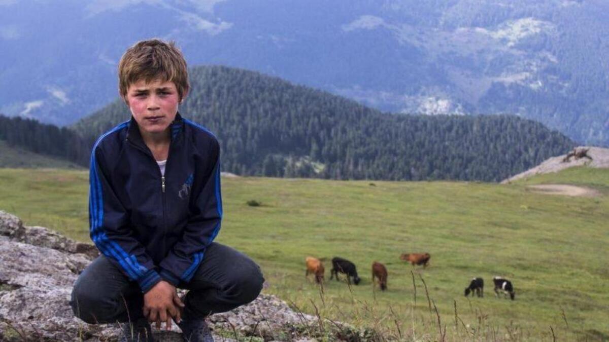 Eren Bülbül operasyonu nedir, ne demek? Eren operasyonu nerede yapılıyor? 