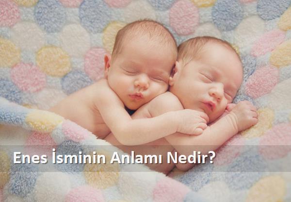 Enes isminin anlamı nedir? Enes ismi kuranda geçiyor mu, caiz mi?