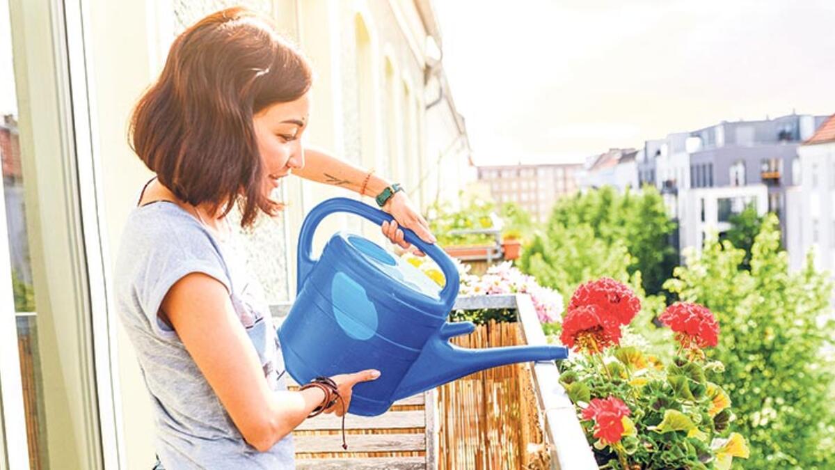 Rüyada Çiçek Sulamak / Rüyada Çiçek Toplamak Tabiri
