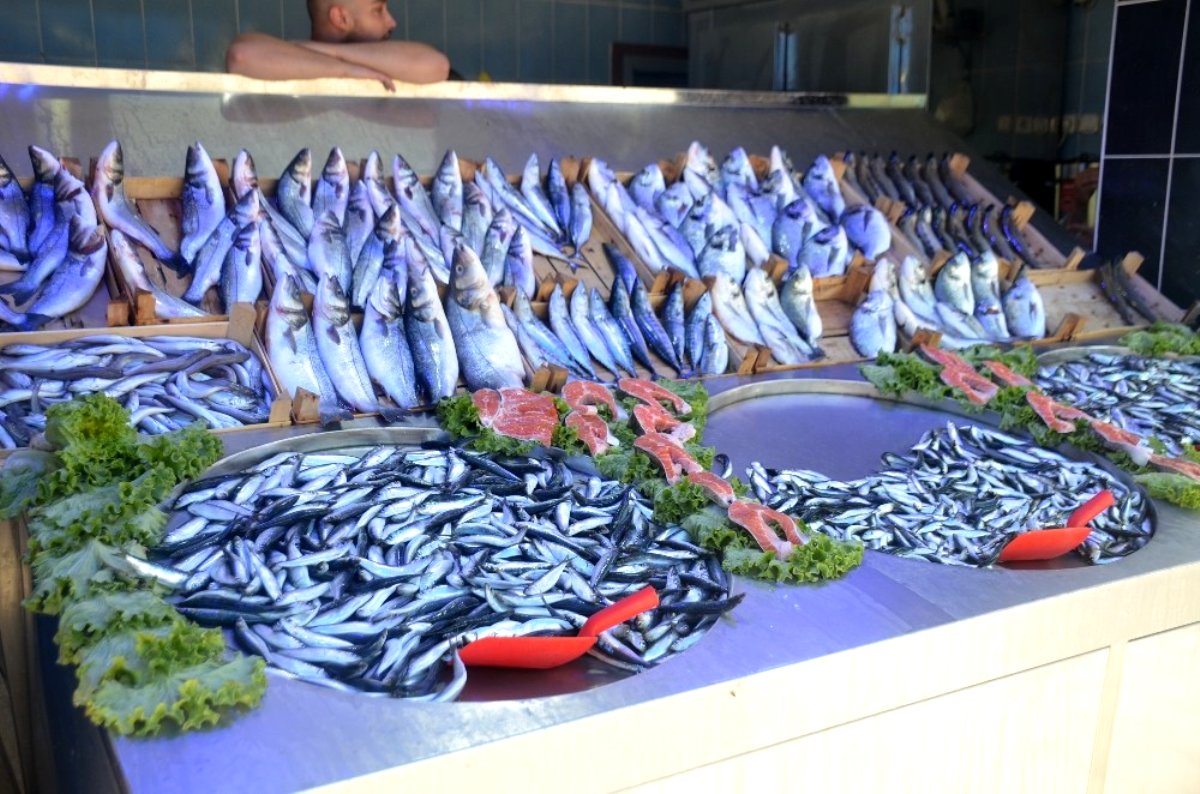 Hamsi yasağı ne zaman kalkıyor? Hamsi yasağı uzayacak mı 2021? Hamsi av yasağı ne zaman bitecek?