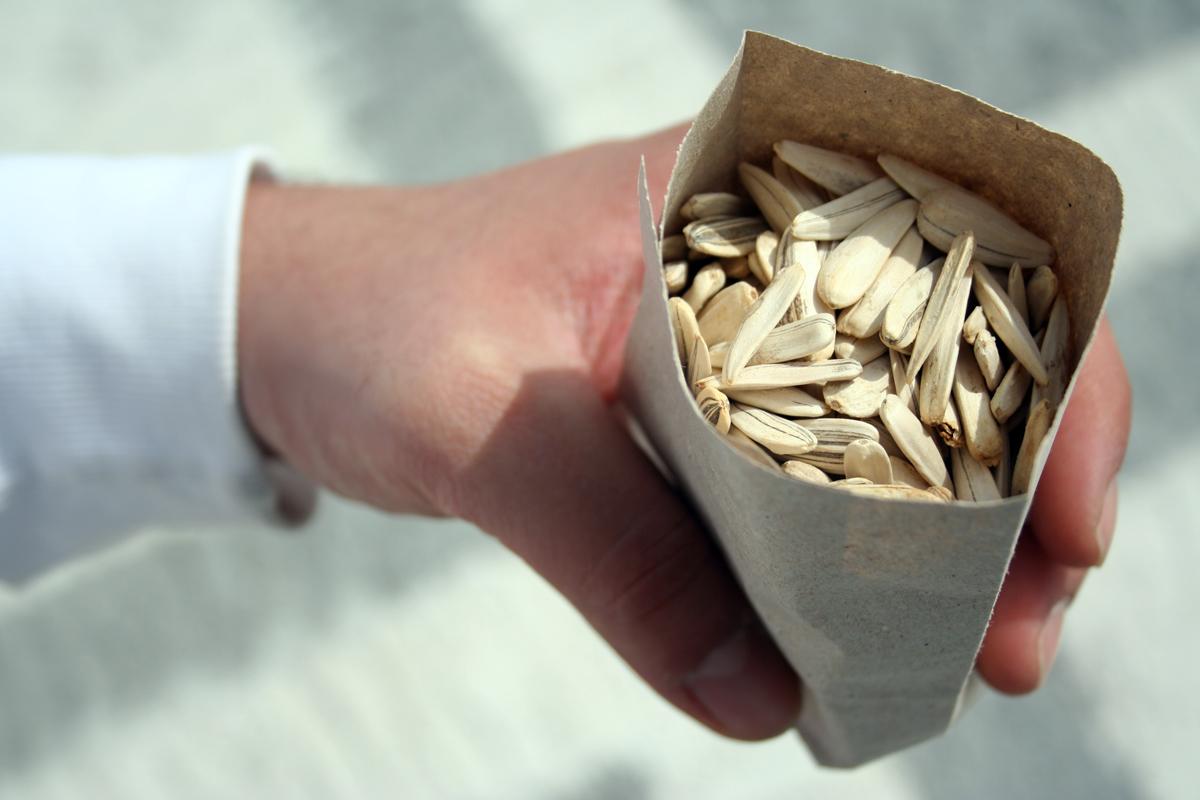 Rüyada Çekirdek Görmek / Rüyada Çekirdek Yemek Tabiri