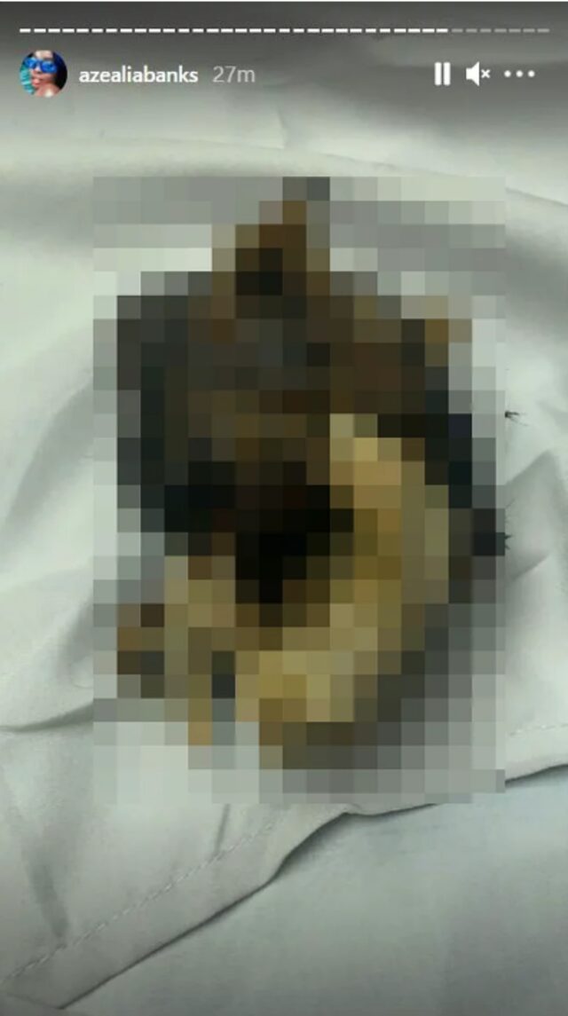 Şarkıcı Azealia Banks, ölen kedisini mezardan çıkarıp pişirdi! Şok eden görüntülere tepki gecikmedi!