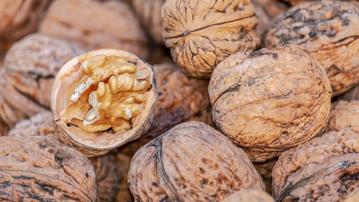 Rüyada Ceviz Yemek Tabiri