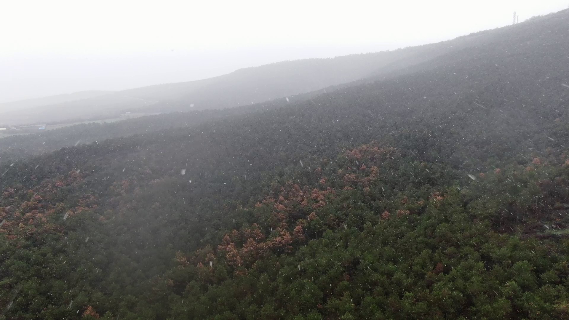 İstanbul'da kar yağışı başladı