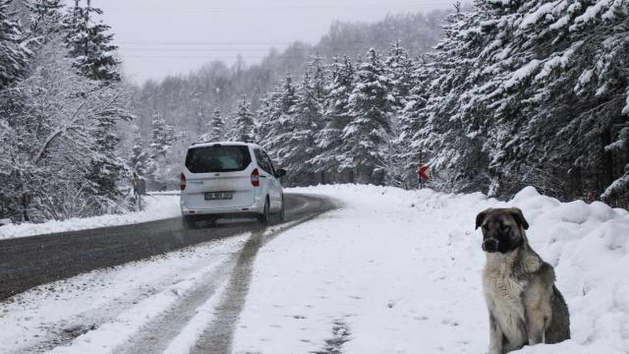 Meteoroloji kar yağışı için tarih vermişti! İşte 15 Ocak İstanbul hava durumu | 15 Ocak hava durumu raporu