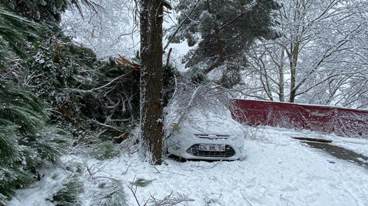 Kartal’da ağaç araçların üzerine devrildi! Ekipler müdahale etti!