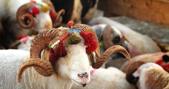 Kurban Bayramı ne zaman 2021? Hangi güne denk geliyor? Kaç gün tatil olacak?