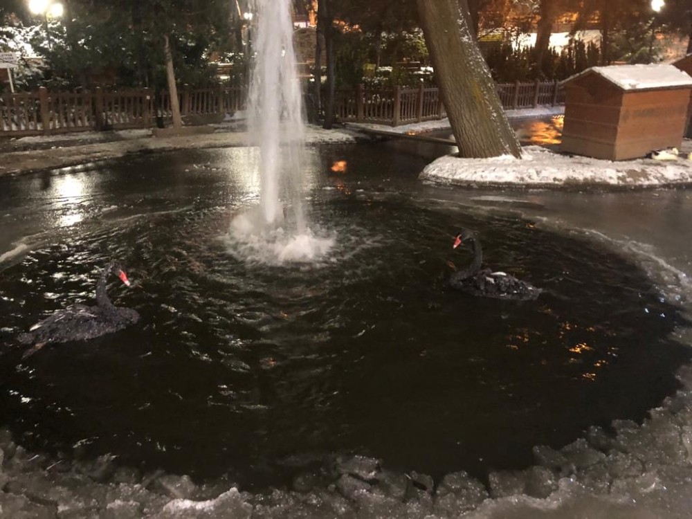 Ankara'da hava sıcaklığı -17 dereceye kadar düştü! Kuğulu Park buzla kaplandı!