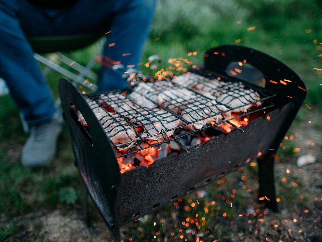 Rüyada Pikniğe Gitmek / Rüyada Piknik Yapmak Tabiri