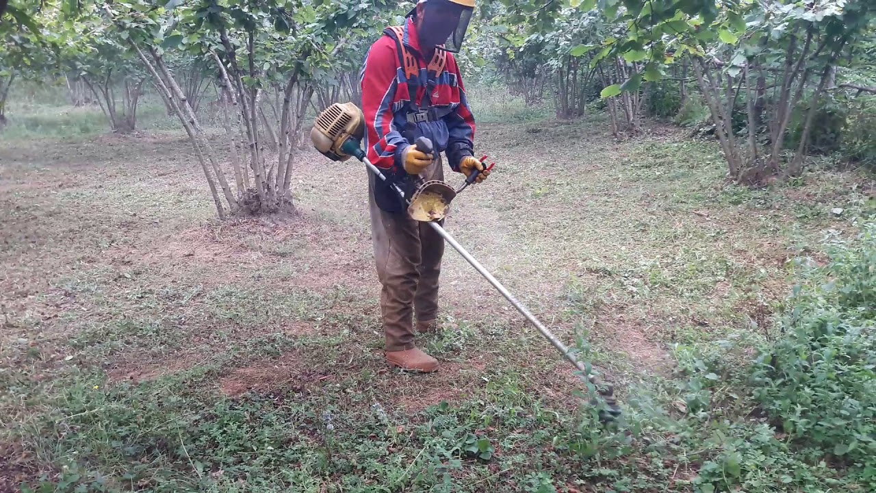 Rüyada Ot Görmek / Rüyada Ot Biçmek Tabiri