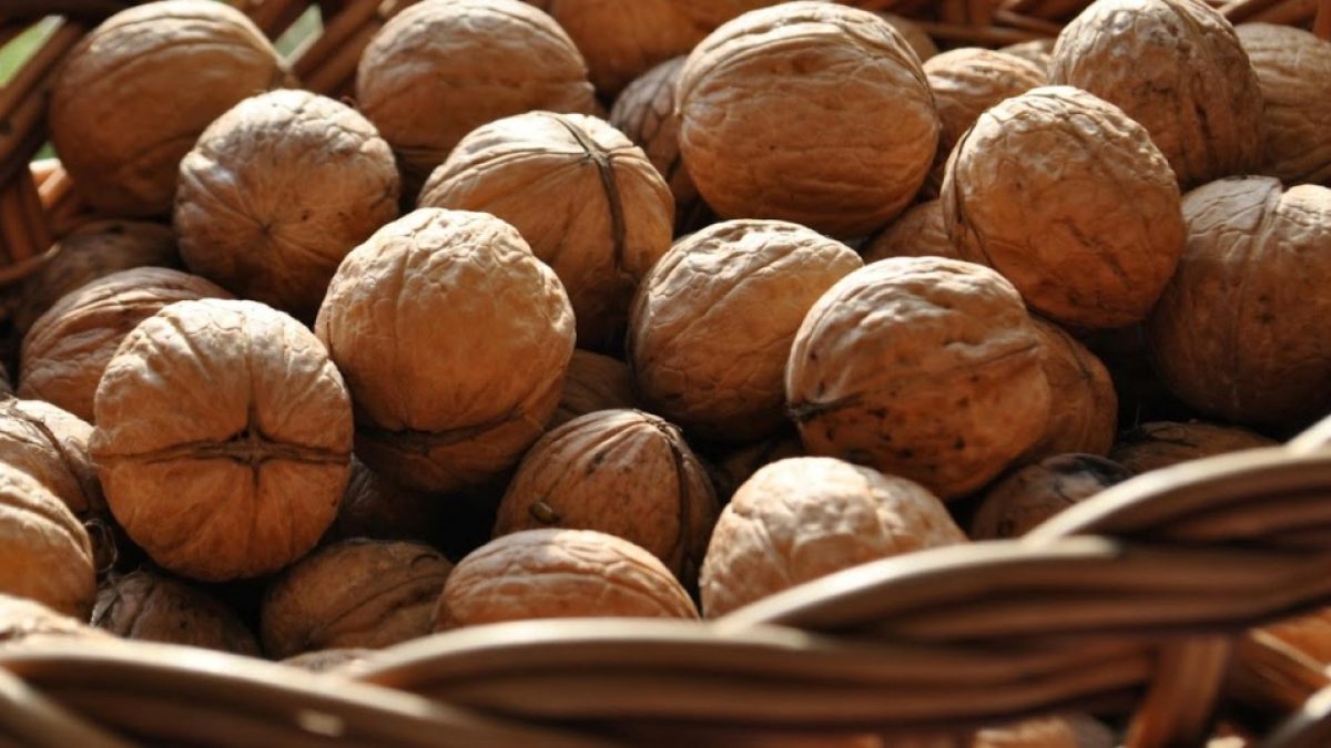 Ceviz kabuğunun faydaları nelerdir? Ceviz kabuğu suyu zayıflatır mı?