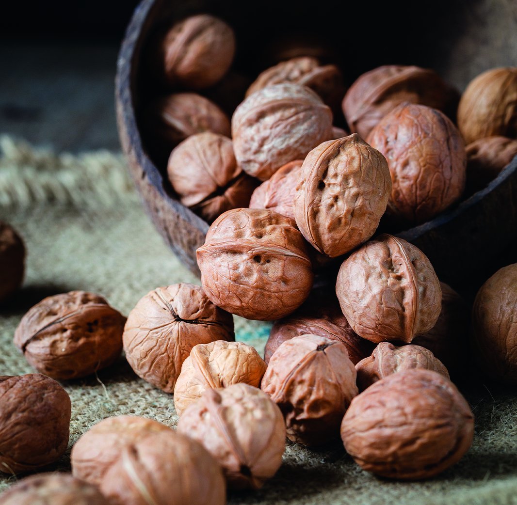 Ceviz kabuğunun faydaları nelerdir? Ceviz kabuğu suyu zayıflatır mı?