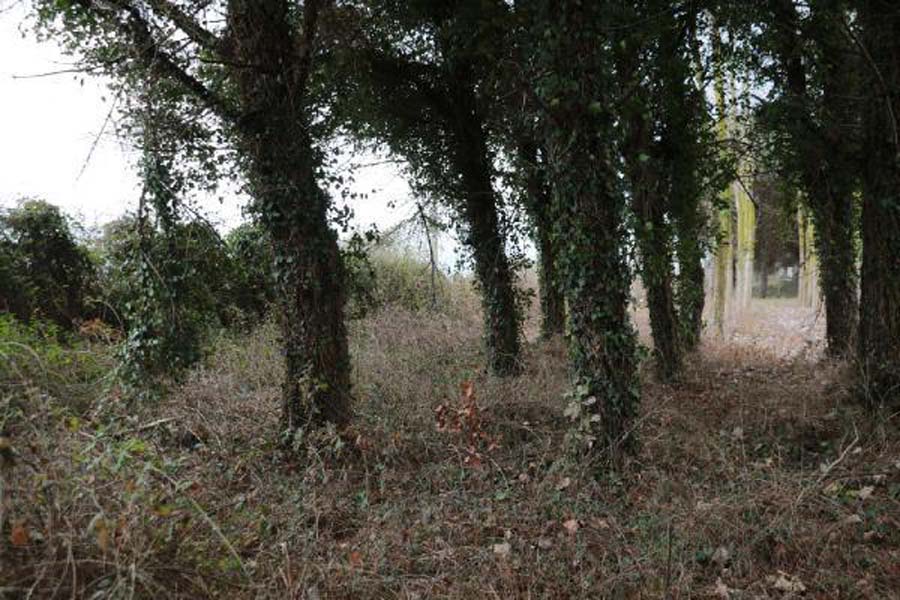 Arzu Aygün ile katilinin kavgasına tanık olanlar cinayet gününü anlattı