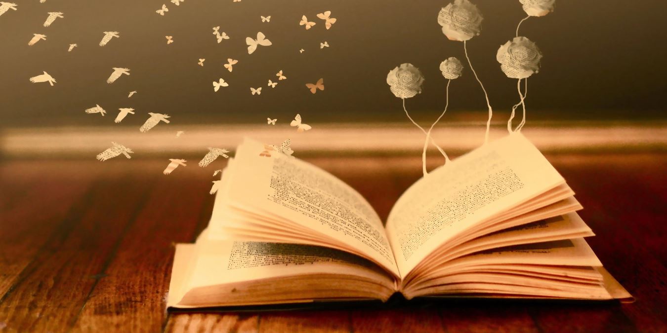 Rüyada Kitaplar Görmek / Rüyada Kitaplık Görmek Tabiri