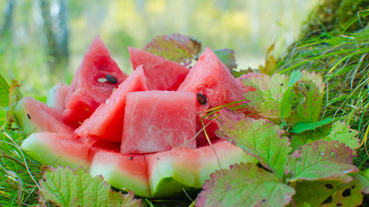 Rüyada Karpuz Görmek / Rüyada Karpuz Almak Tabiri