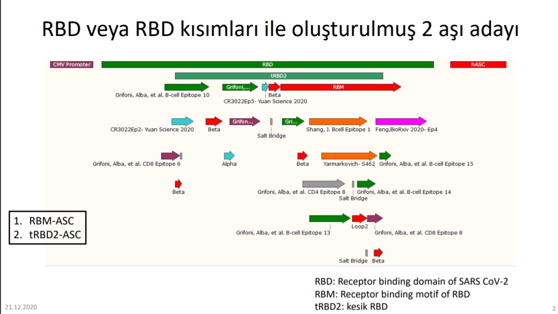 ASC zerrecik aşısı nedir? Ne işe yarar? | ASC zerrecik teknolojisi nasıl tedavi ediyor?
