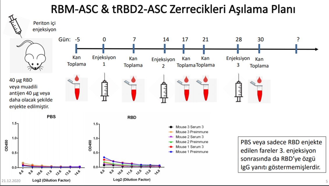 ASC zerrecik aşısı nedir? Ne işe yarar? | ASC zerrecik teknolojisi nasıl tedavi ediyor?