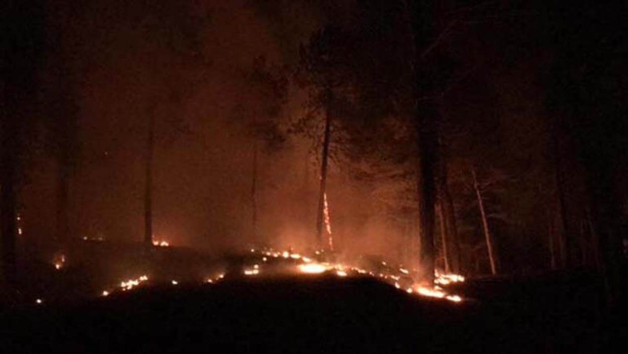 Kastamonu Abana'da orman yangını korku yarattı
