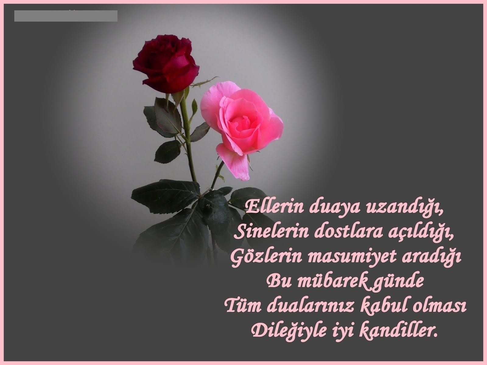 Sevgiliye , flörte, eşe, karıya, kocaya Regaip Kandili mesajları 2023 | Regaip Kandili mesajları 2023