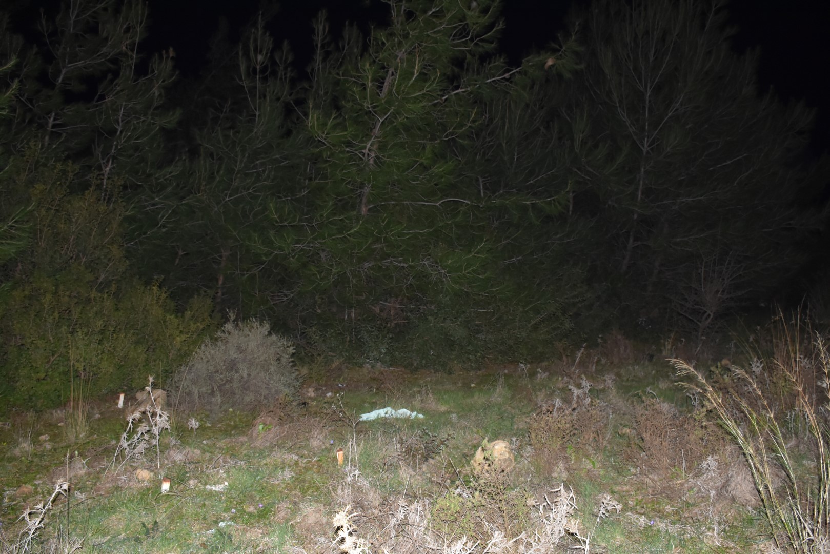 İzmir'de korkunç kadın cinayeti: Boğarak öldürdü, cesedini...