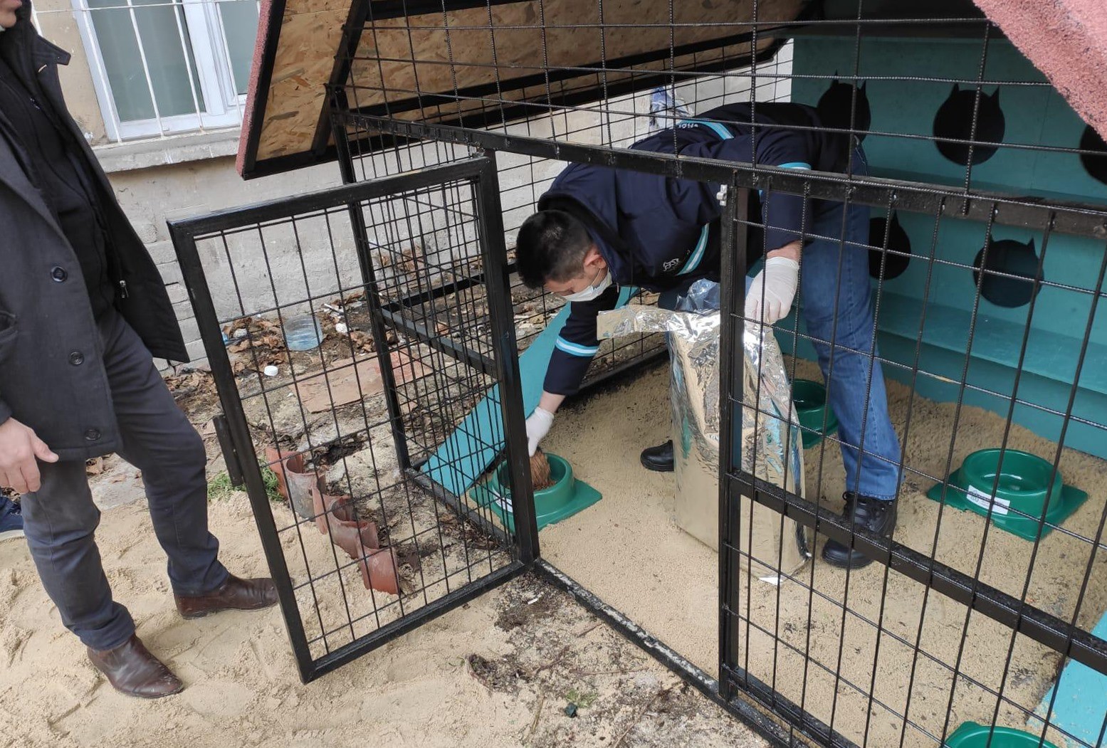 Sessiz dostlarımız kediler için "Kedi Oteli" yapıldı
