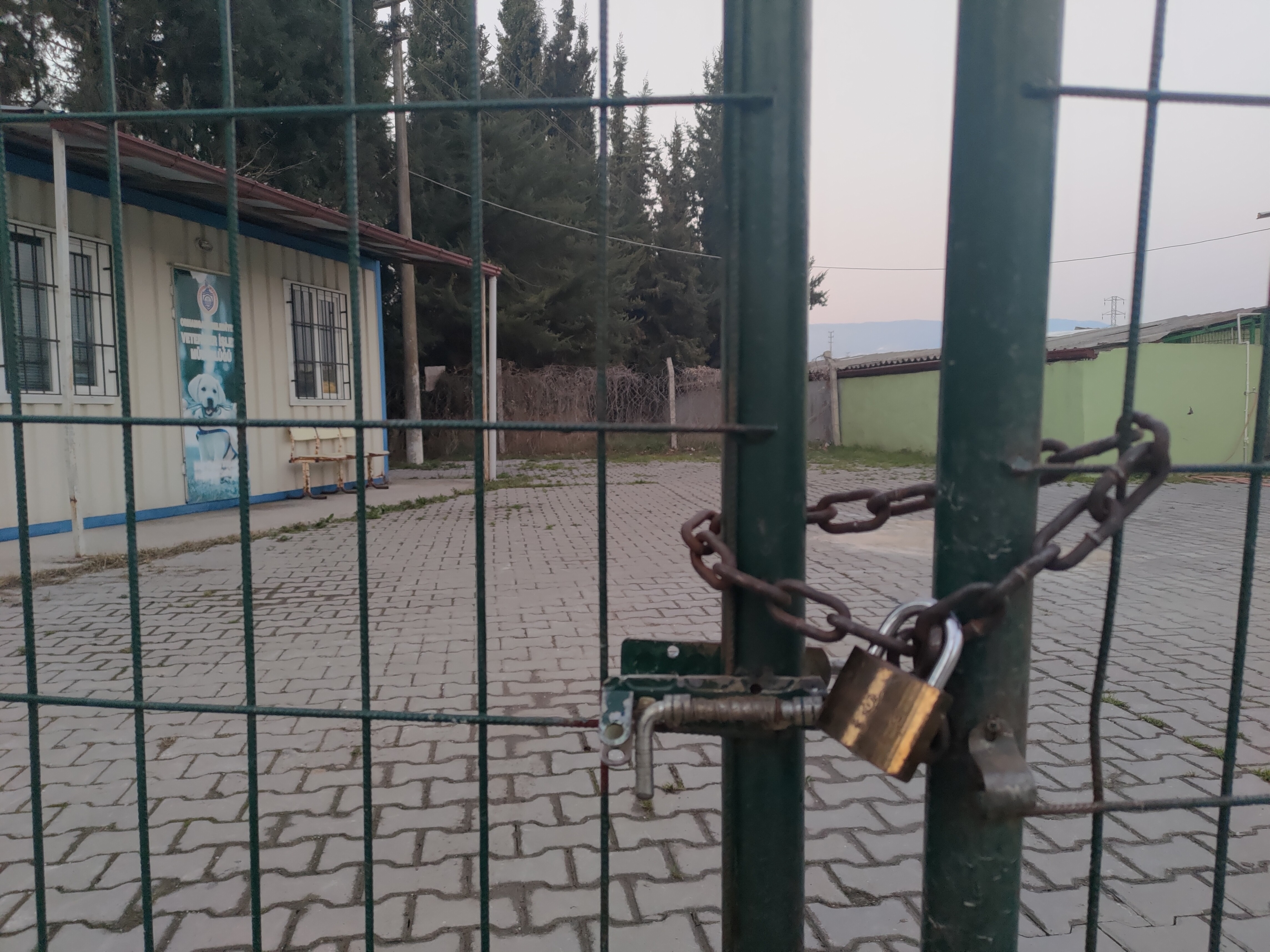 Barınaktaki görüntüler içler acısı! Sahipsiz hayvanlar ölüme terk edildi...