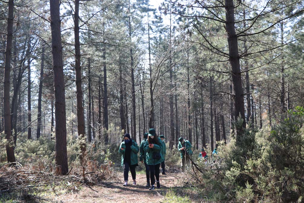 Yeşilay Haftası'nda Pendikli öğrencilerden doğa etkinliği!