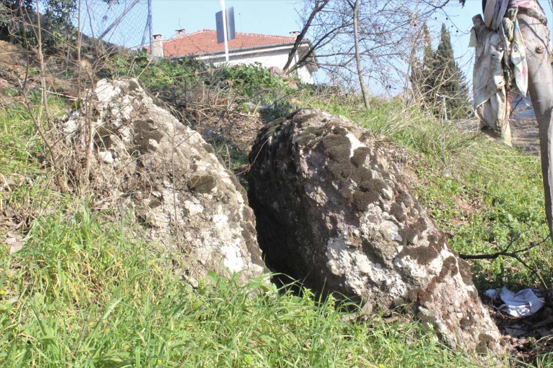 Çocuk sahibi olmak için böcek yiyorlar!