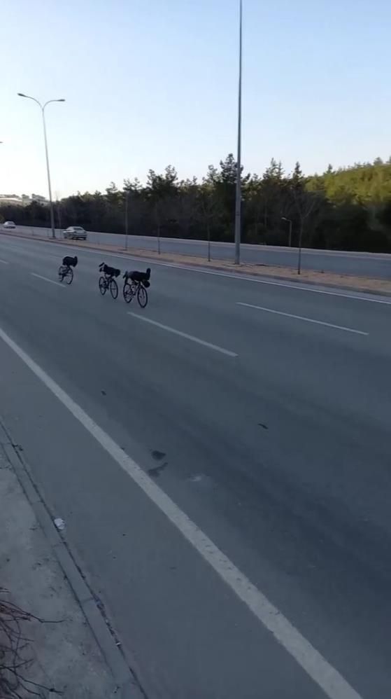 Bisikletli gençler otoyolda ölüme davetiye çıkardı