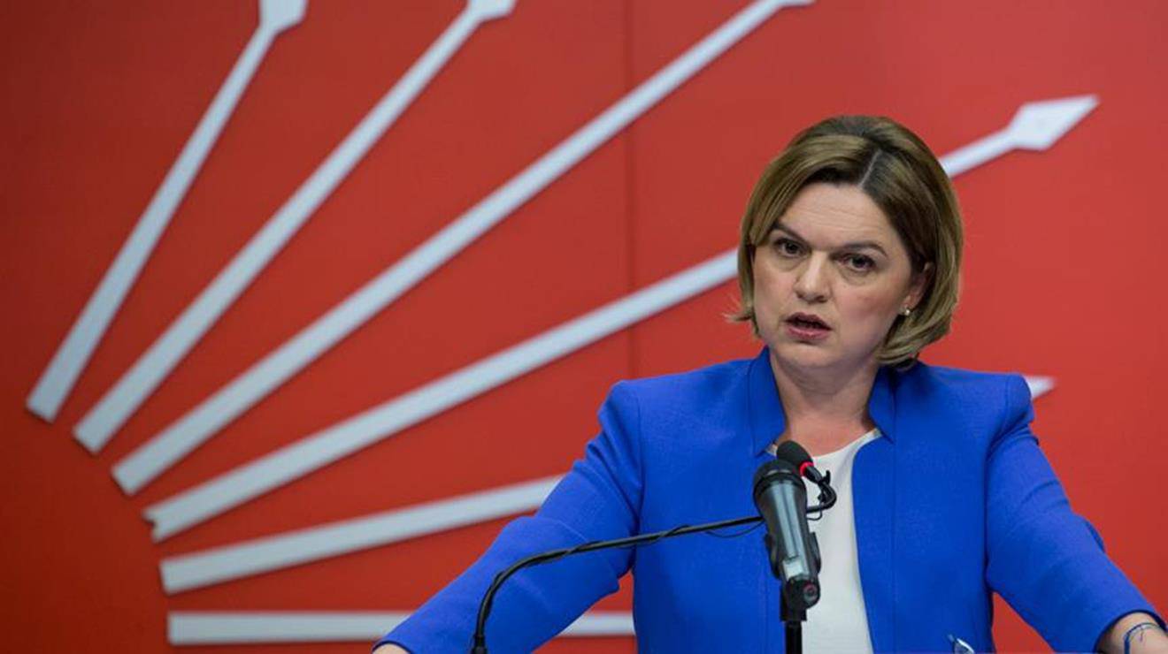 Selin Sayek Böke kimdir, nerelidir, nerede doğdu? Kaç yaşındadır? Hangi partiden milletvekili?