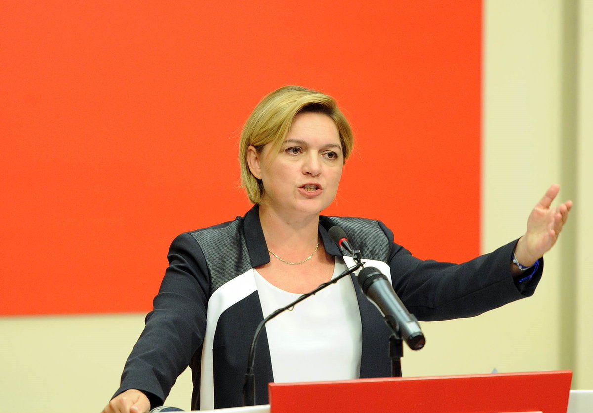 Selin Sayek Böke kimdir, nerelidir, nerede doğdu? Kaç yaşındadır? Hangi partiden milletvekili?