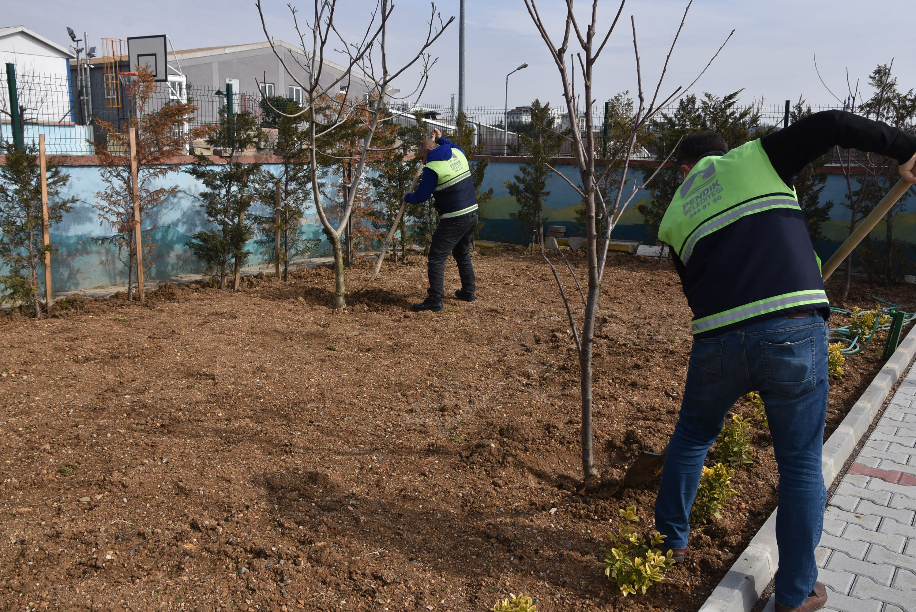 Pendik'te okullar meyve verecek!