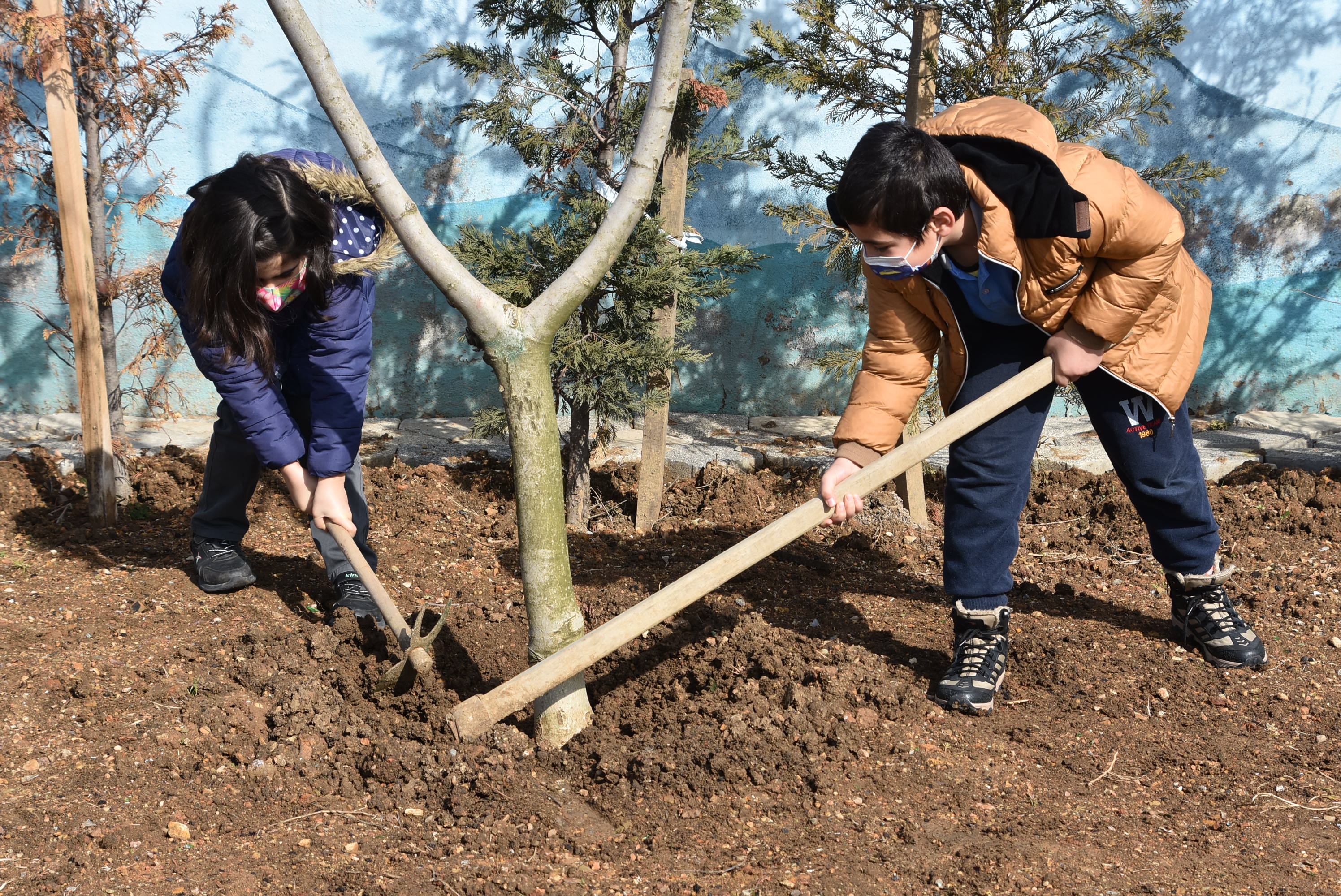 Pendik'te okullar meyve verecek!