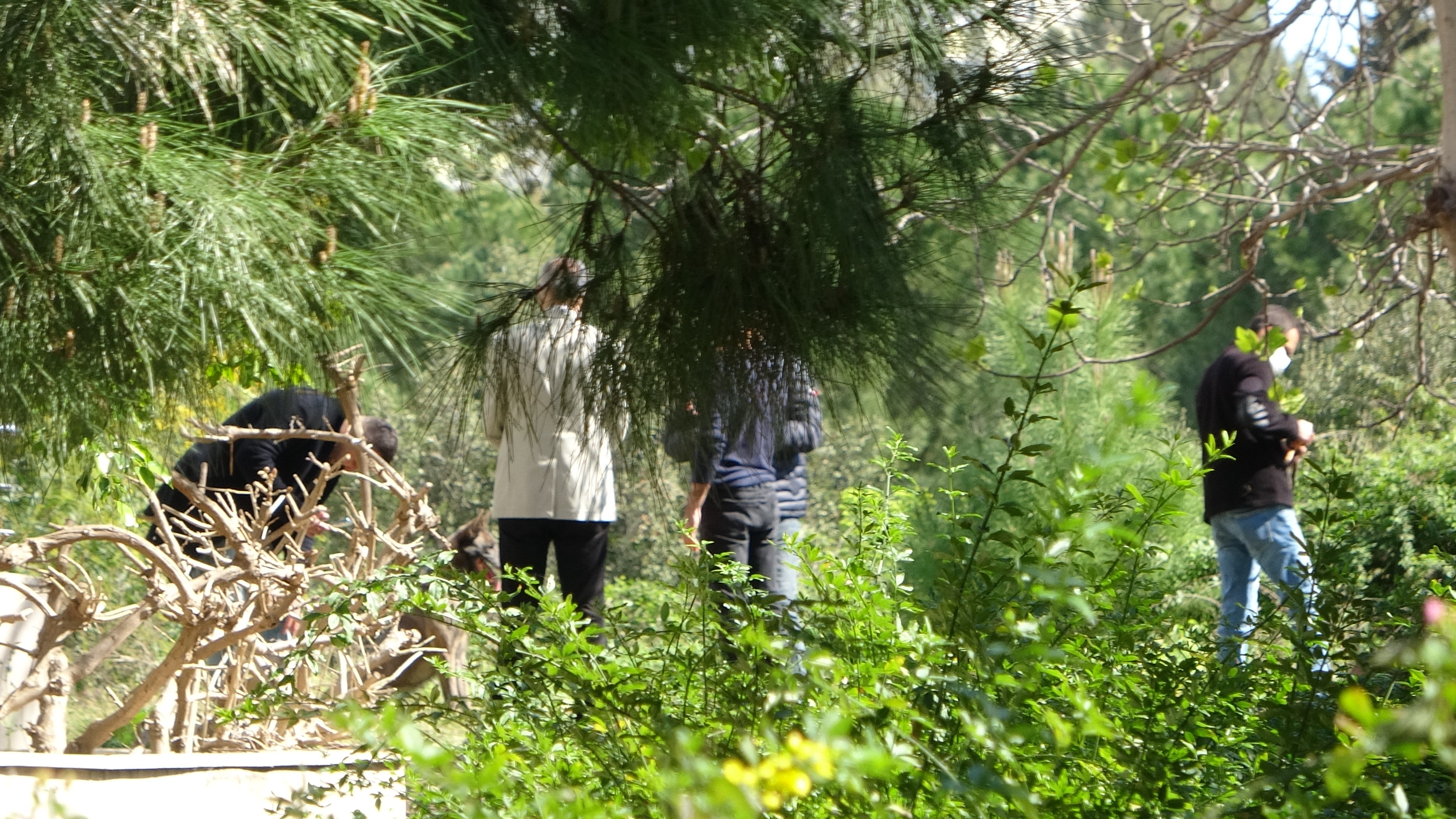 Antalya'da hastane bahçesinde kafatası bulundu