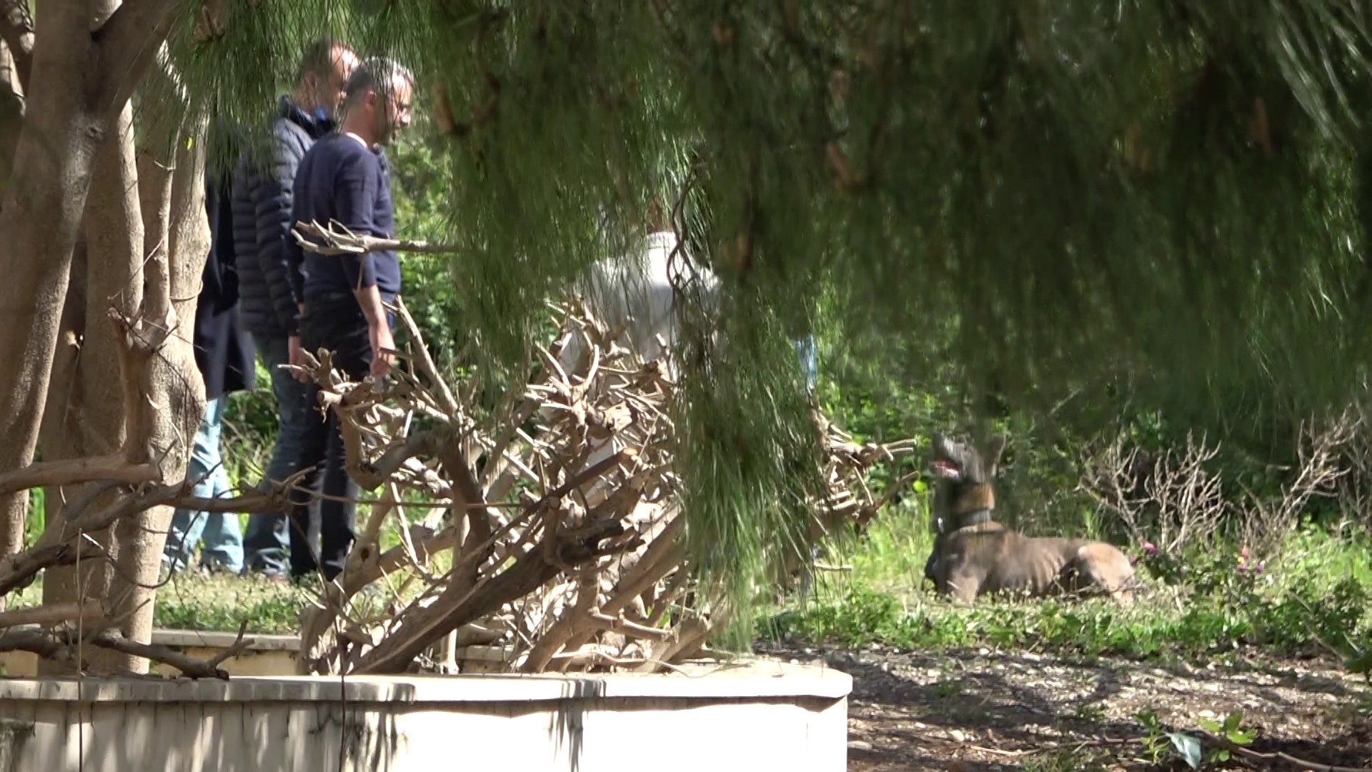 Antalya'da hastane bahçesinde kafatası bulundu