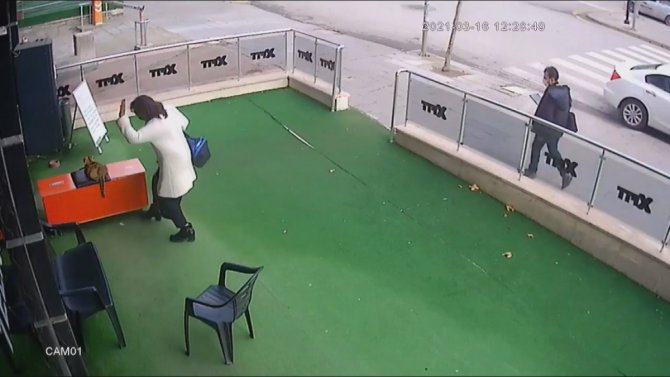 Ankara'da uyuyan kediye şiddet uygulayan kadın kameraya yansıdı!